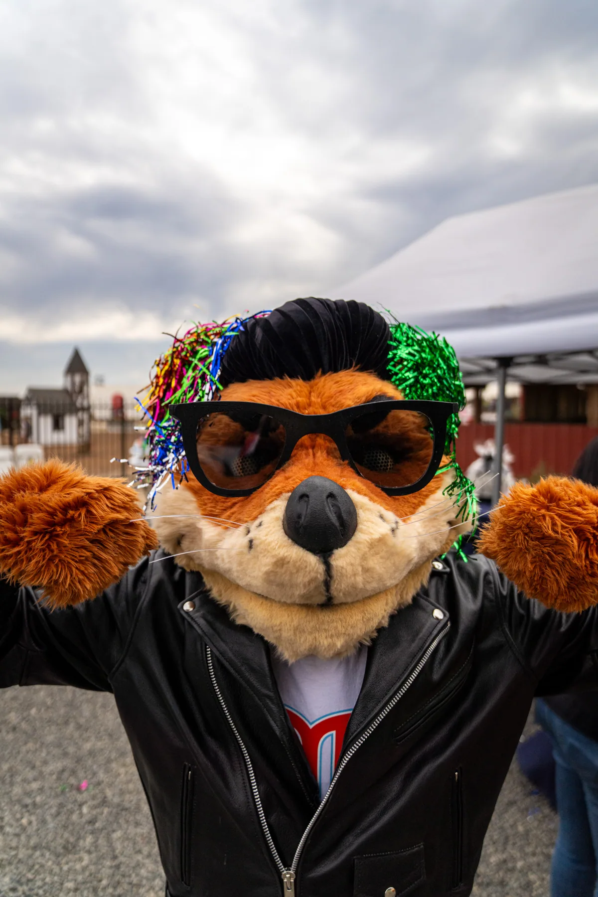 Cruiser wearing a tinsel wig, green on one ear and rainbow on the other, over his sunglasses