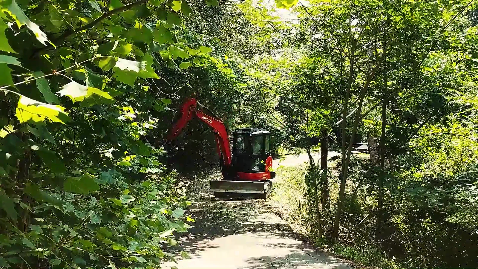 A red Kubota excavator carrying a BrushHound FX26 mulching head down a wooded track, framed by green leaves