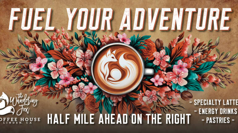 Case Study: Brewing a Brand – The Complete Launch of The Wandering Fox Coffee House
